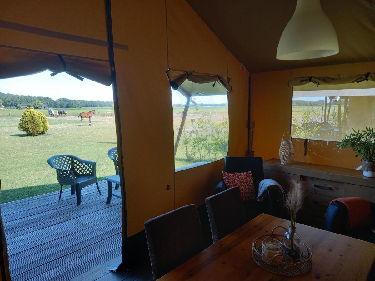 Comfort Safaritent 6 Pers En Mini Camping Zwiggelte Eksteriør billede